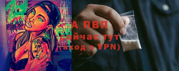 прущие грибы Бугульма